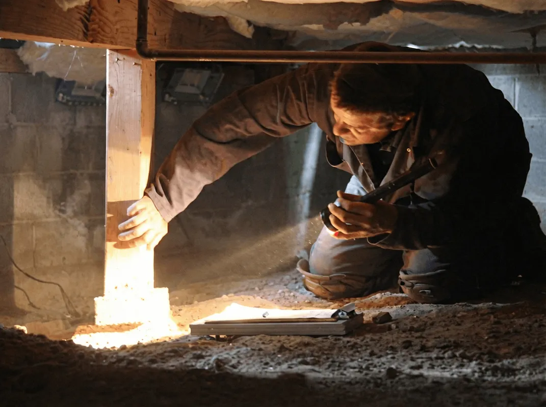 A professional inspecting wooden beams under the floor of a structure in West Palm Beach, FL